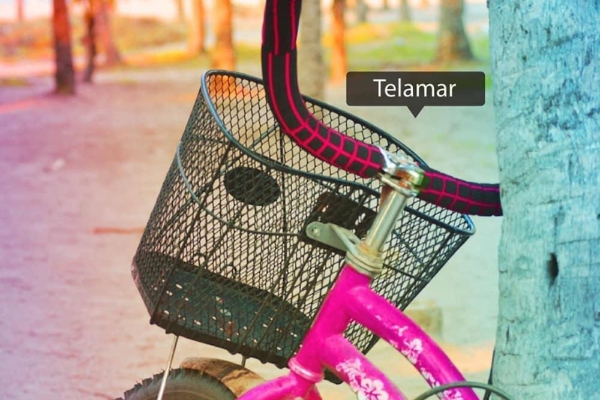 Hotel Telamar Resort